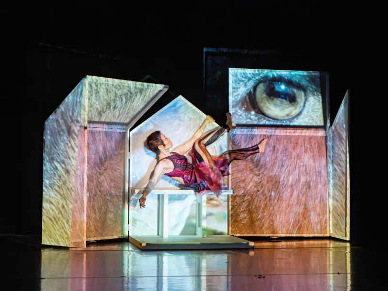 Degenerate Art Ensemble tickets